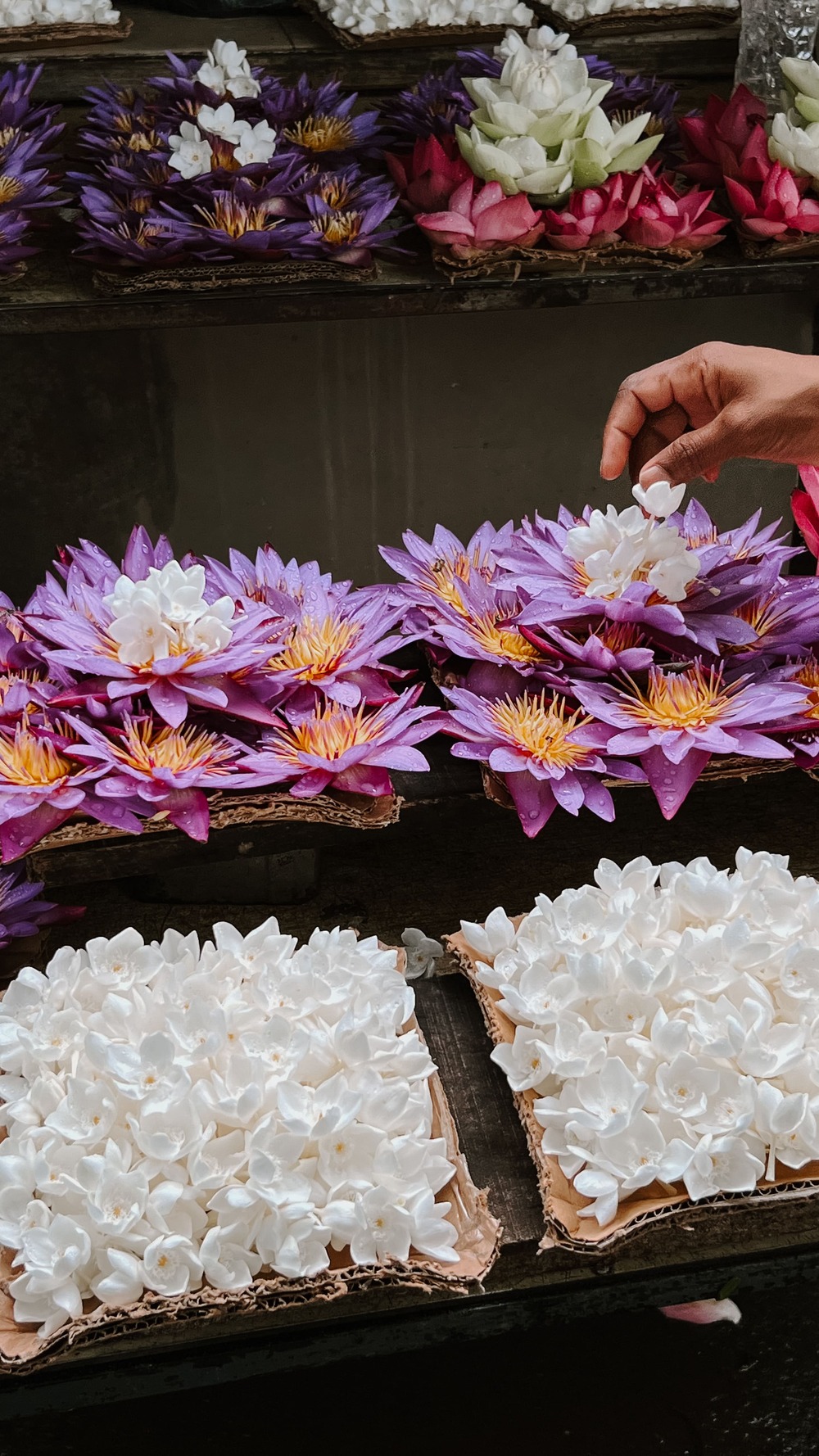 Фото Шри-Ланки