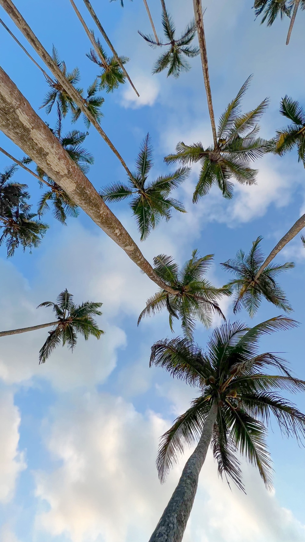 Фото Шри-Ланки