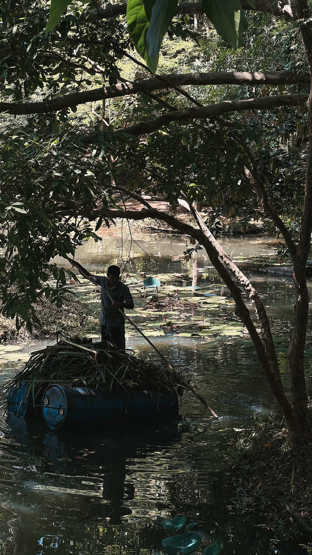 Фото Шри-Ланки