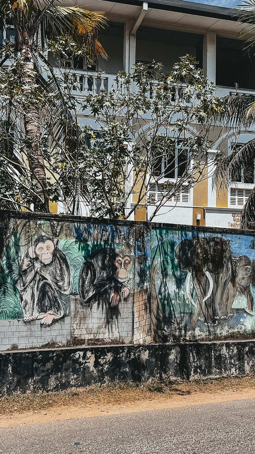 Фото Шри-Ланки