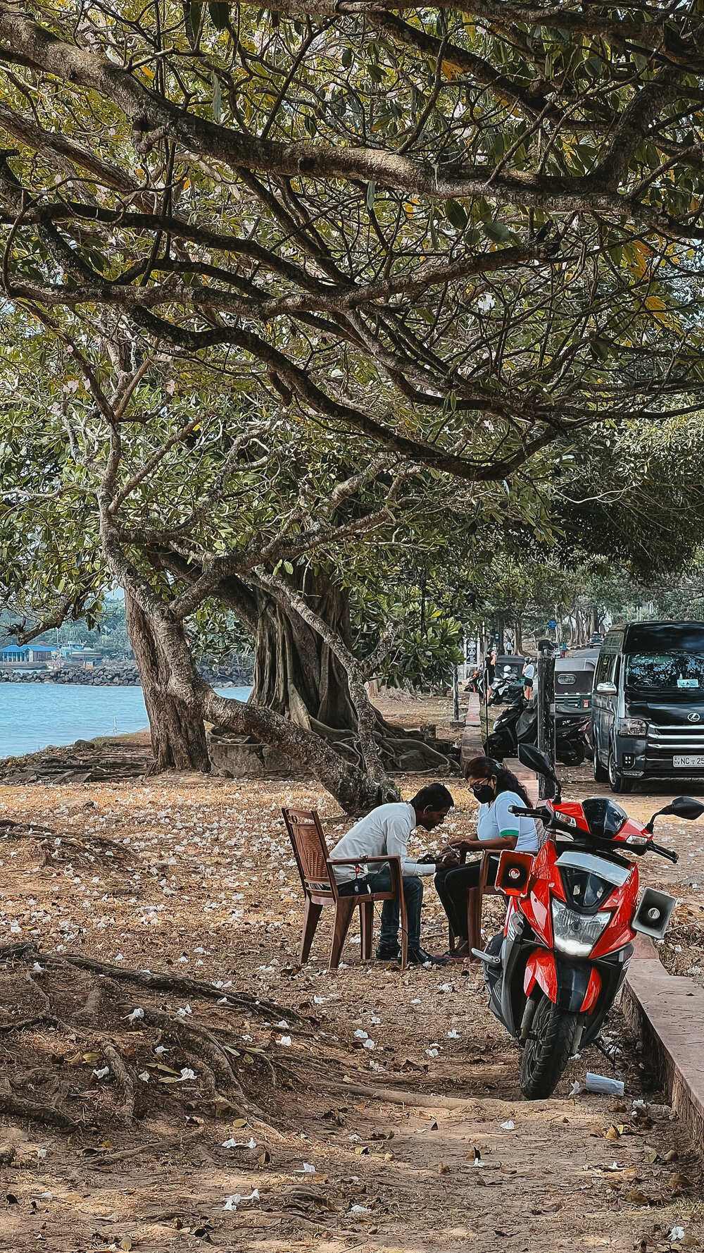 Фото Шри-Ланки